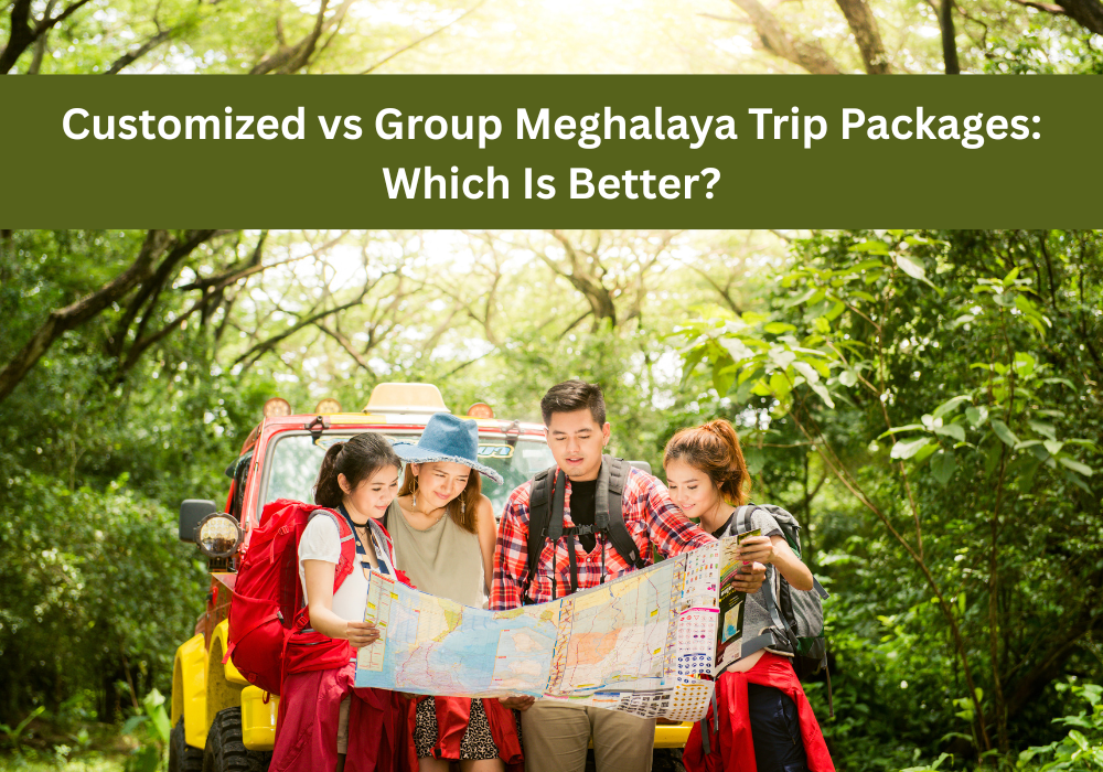 Customized vs Group Meghalaya Trip Packages Which Is Better
